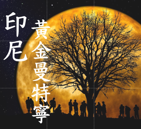 (2024豆貌超水!) 獵豆工坊🐆印尼 蘇門答臘 超級迦佑黃曼 黃金曼特寧 濕剝處理 20 目+ 咖啡生豆