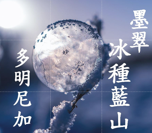 (2024) 獵豆工坊 其他產區 多明尼加 墨翠 冰種藍山 AA級 水洗 咖啡生豆