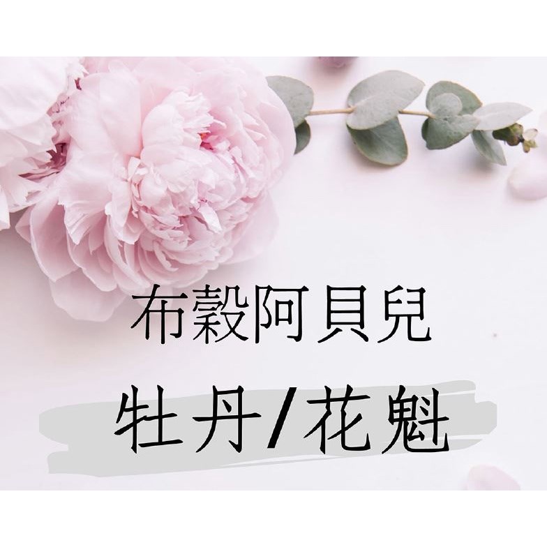 (2024新產季) 獵豆工坊 衣索比亞 布穀阿貝兒 花魁/牡丹 日曬g1 咖啡生豆500g