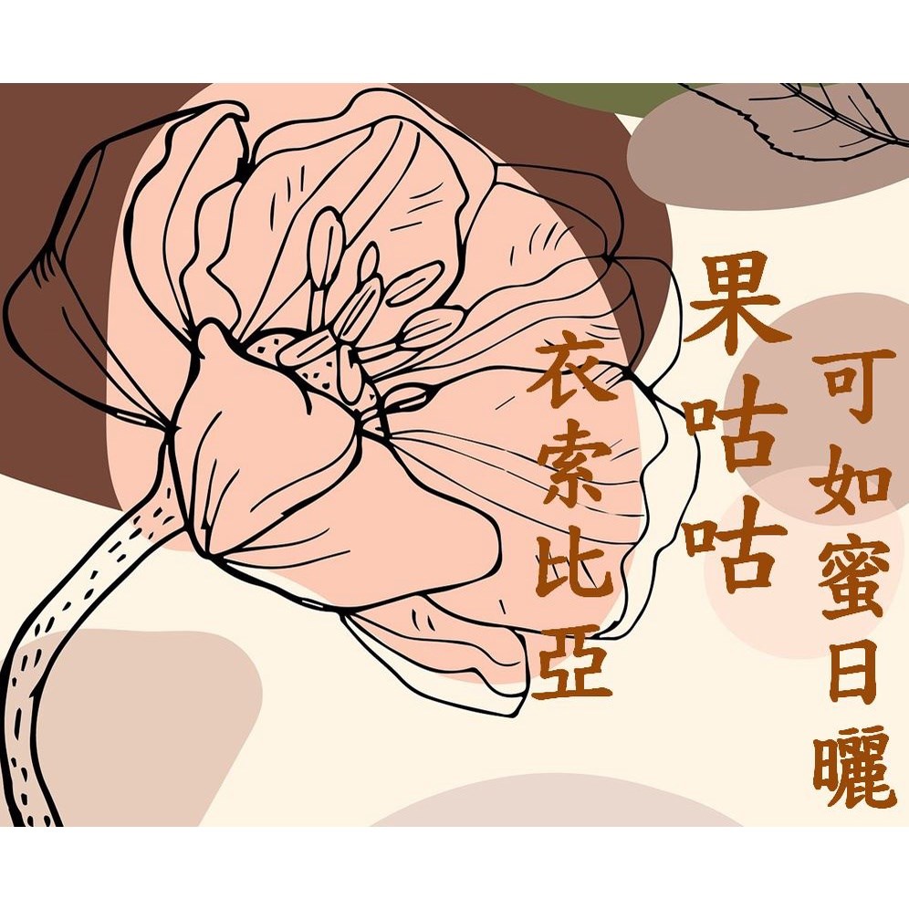 (2025) 獵豆工坊  衣索比亞 谷吉 烏拉嘎 果咕咕 可如蜜種 日曬G1 咖啡生豆\