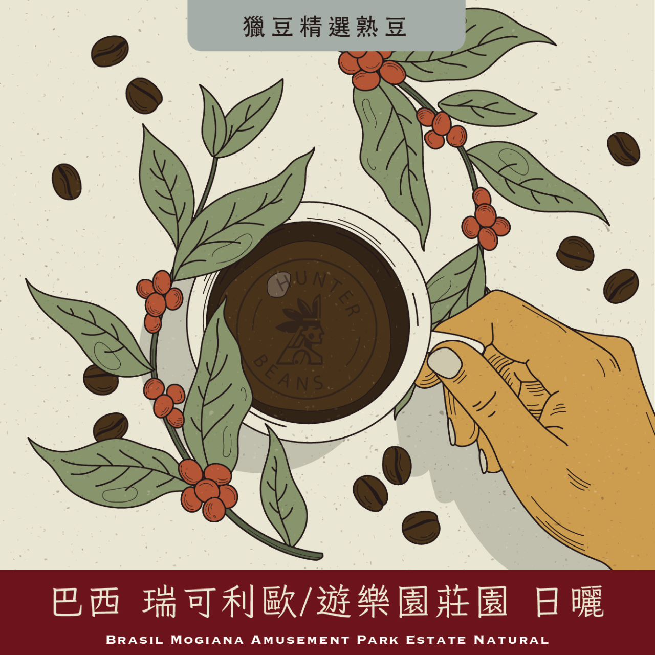 (咖啡熟豆) 獵豆工坊  巴西 摩吉安娜 瑞可利歐/遊樂園莊園 日曬   225g/450g  咖啡豆 