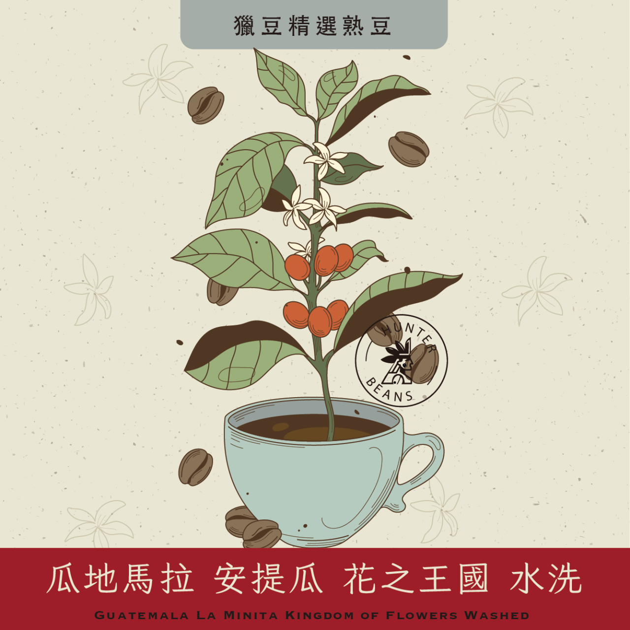 (咖啡熟豆) 獵豆工坊   瓜地馬拉 安提瓜 花之王國 水洗 225g/450g  咖啡豆 