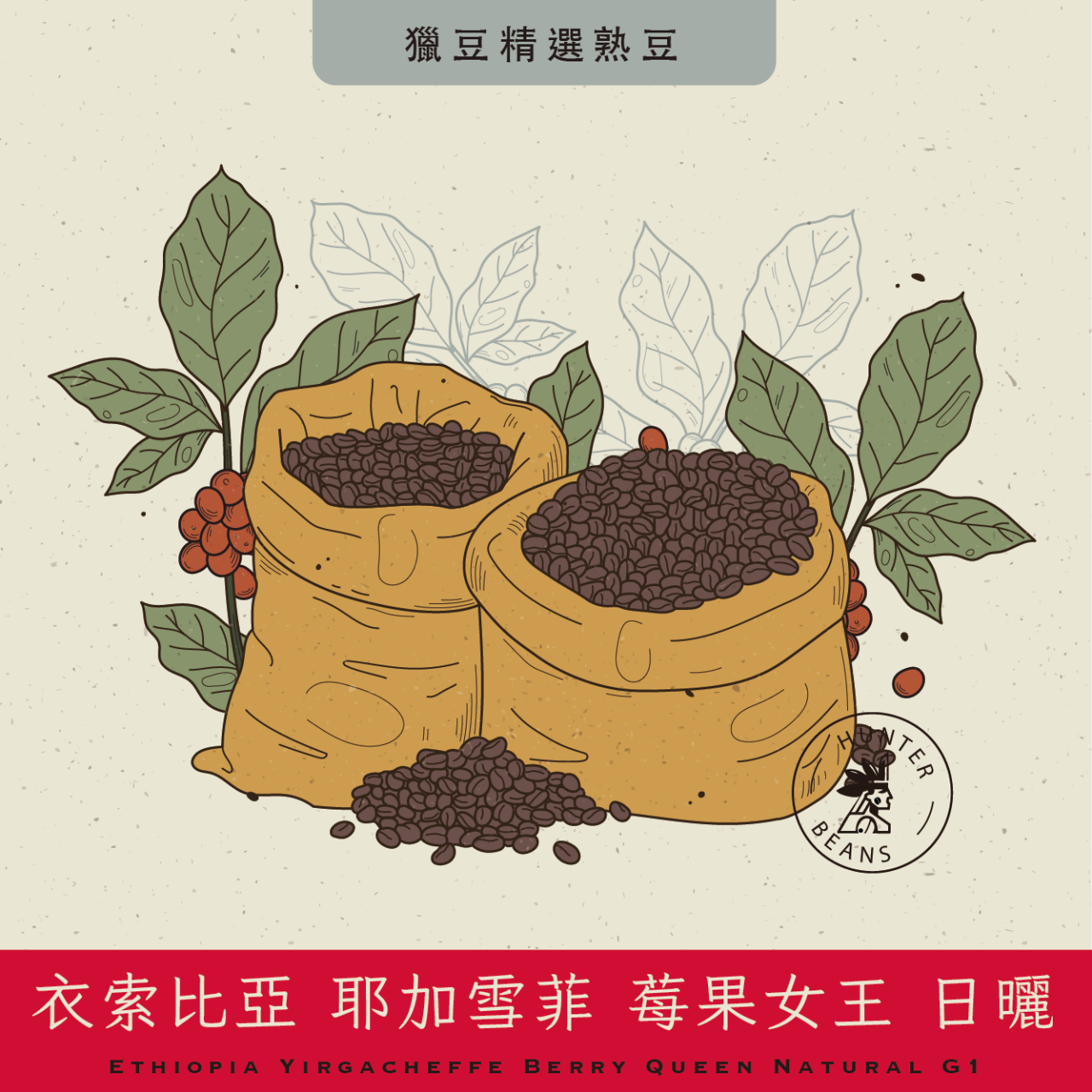 (咖啡熟豆) 獵豆工坊  衣索比亞 耶加雪菲 莓果女王 日曬G1   225g/450g 咖啡豆  