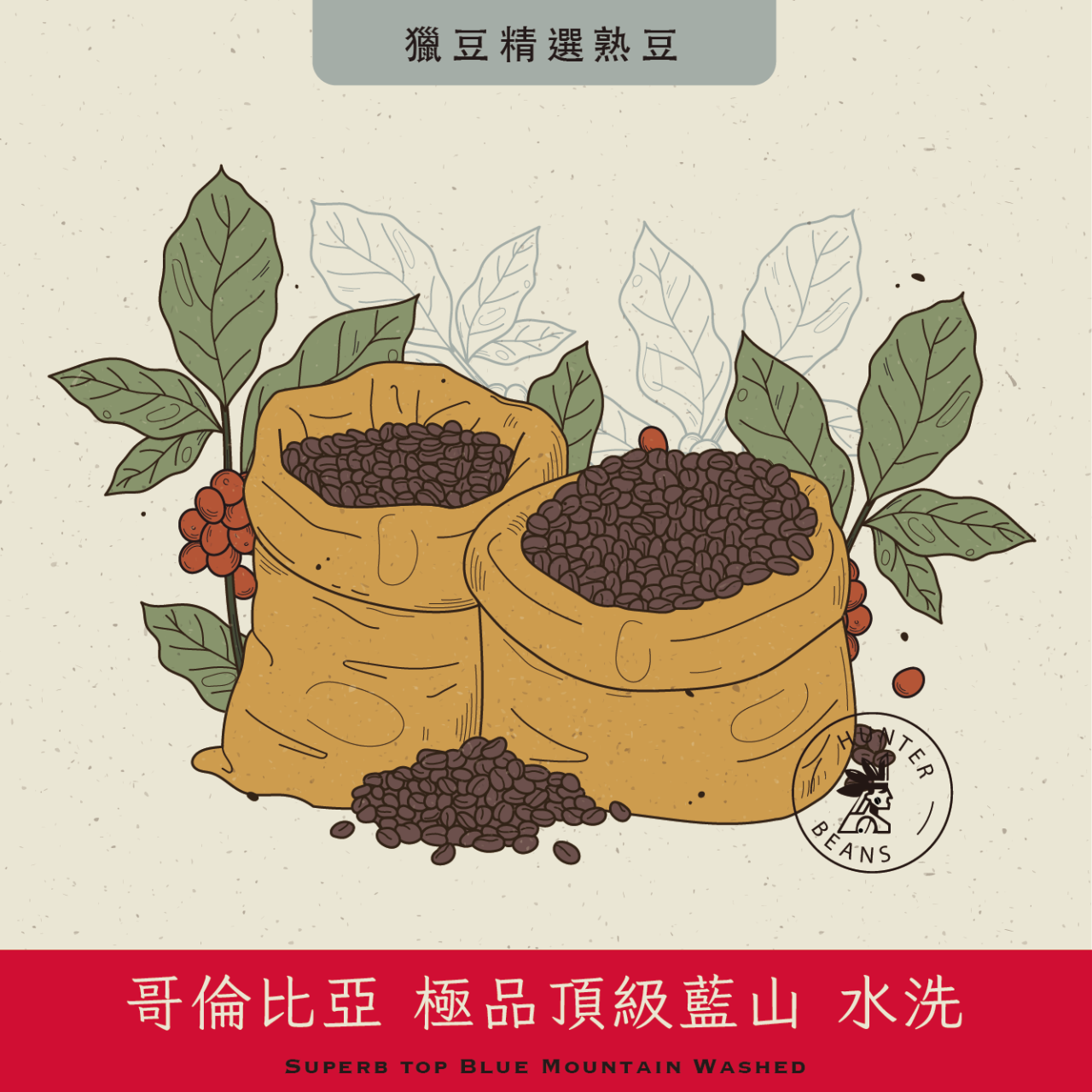 (咖啡熟豆) 獵豆工坊 哥倫比亞 極品頂級藍山 水洗   225g/450g 咖啡豆  
