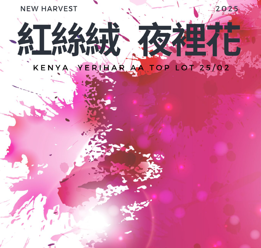 (2025) 獵豆工坊  肯亞 紅絲絨/夜裡花 AA TOP (東非大裂谷) 25/02 批次 咖啡生豆