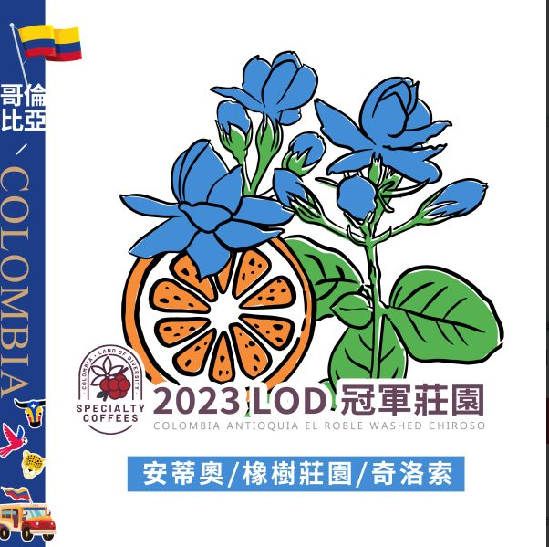 (2023)獵豆工坊  LOD 冠軍莊園 哥倫比亞 安蒂奧  橡樹莊園 奇洛索  水洗長發酵  咖啡生豆 
