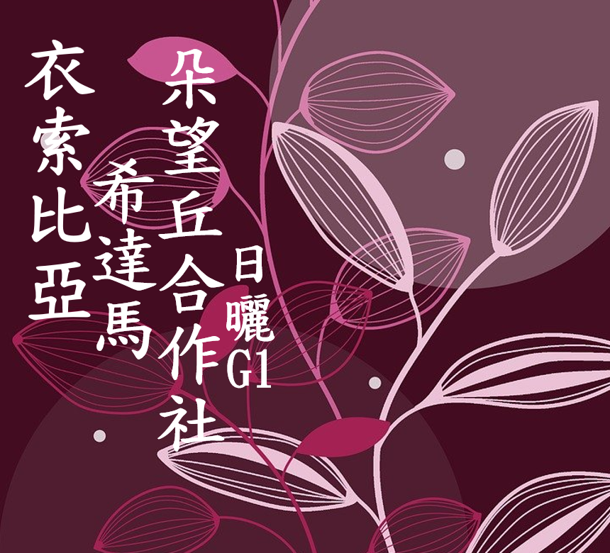 (2023) 獵豆工坊 衣索比亞 西達馬 阿貝果娜 朵望丘合作社 日曬 G1   咖啡生豆 