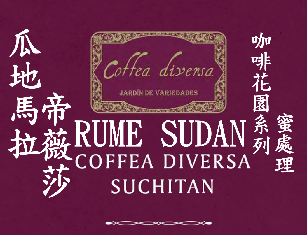(2023) 獵豆工坊 瓜地馬拉 帝薇莎 咖啡花園系列 Rume Sudan 蜜處理  咖啡生豆  