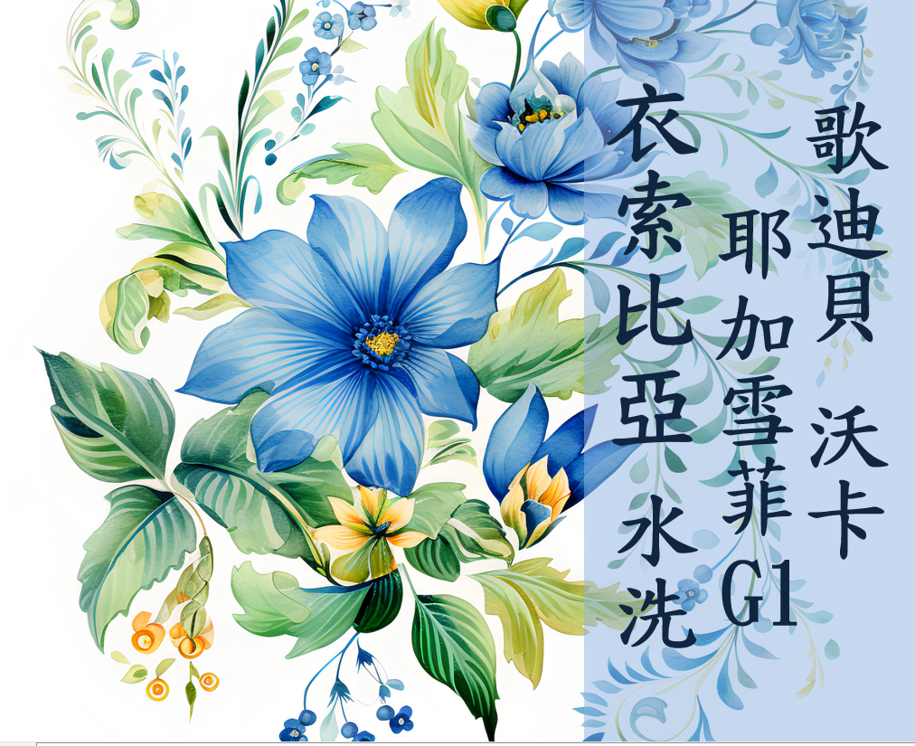 (2025) 獵豆工坊🐆 衣索比亞 耶加雪菲 歌迪貝 沃卡 水洗 G1   咖啡生豆