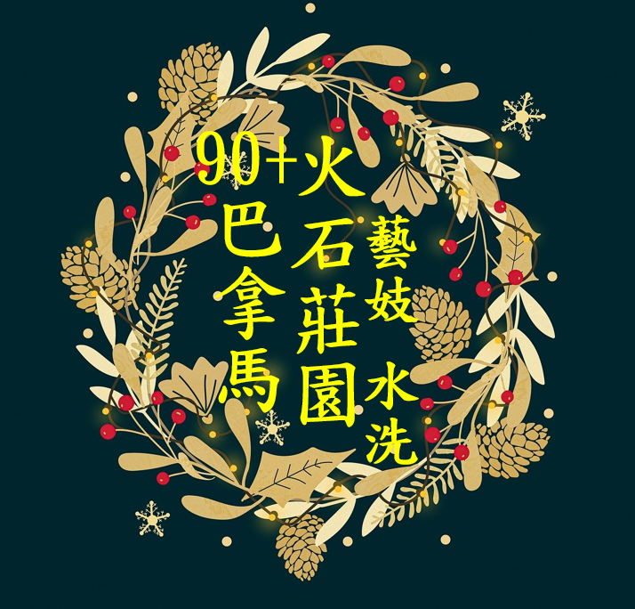  (2024) 獵豆工坊🐆巴拿馬90+ 火石莊園 藝妓 水洗 咖啡生豆
