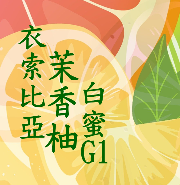 (2025) 獵豆工坊  衣索比亞 谷吉 茉香柚 白蜜 G1   咖啡生豆 