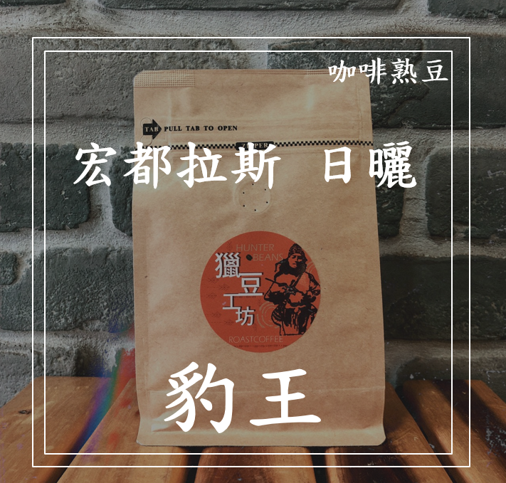 (咖啡熟豆) 獵豆工坊🐆 (中淺烘焙) 宏都拉斯 豹王 日曬 225g/450G