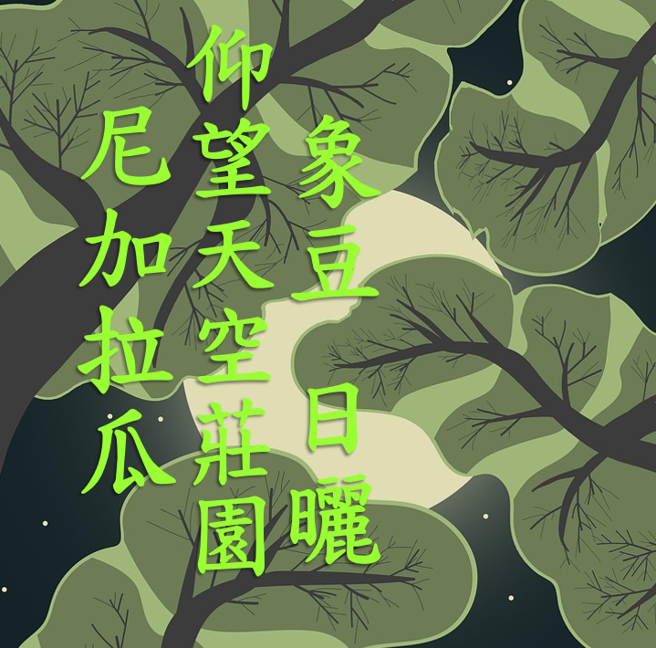 (2024) 獵豆工坊 尼加拉瓜 仰望天空莊園 象豆 日曬處理 咖啡生豆 