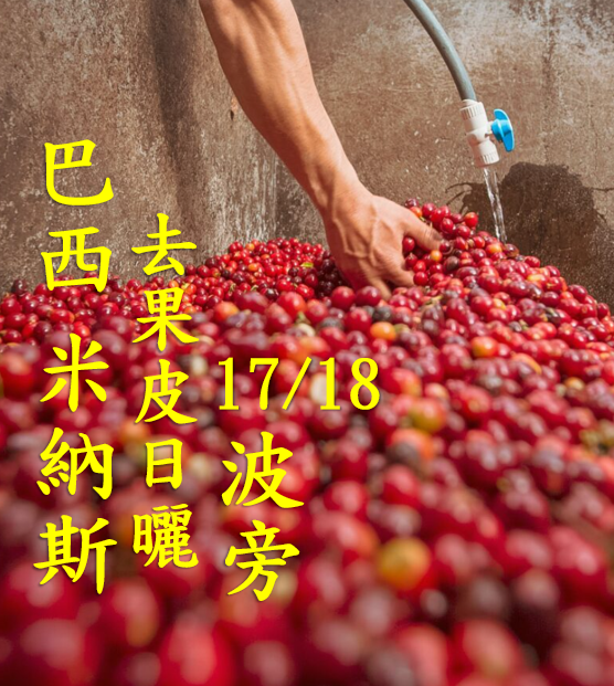 (2024) 獵豆工坊 衣索比亞 日曬 古吉 罕貝拉 布穀 迪基圖 遮蔭慢速乾燥 G1   咖啡生豆 -複製
