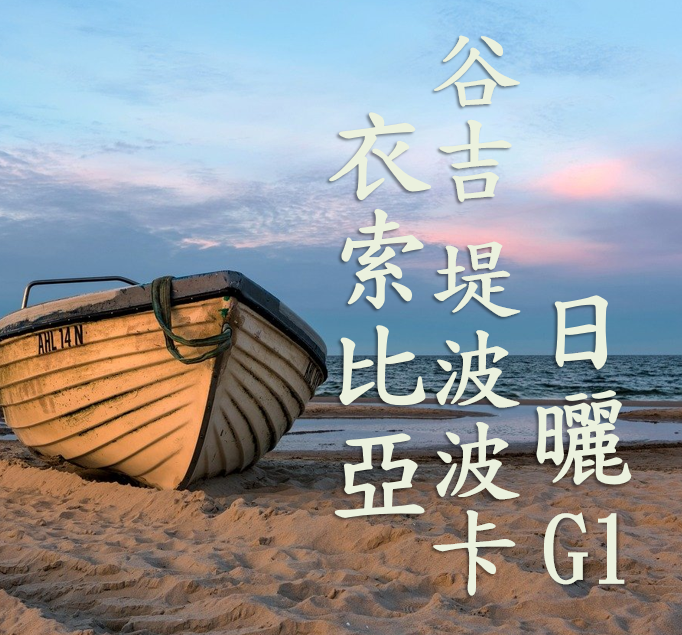(2024) 獵豆工坊 衣索比亞 谷吉 烏拉嘎 提波波卡 日曬G1  咖啡生豆 