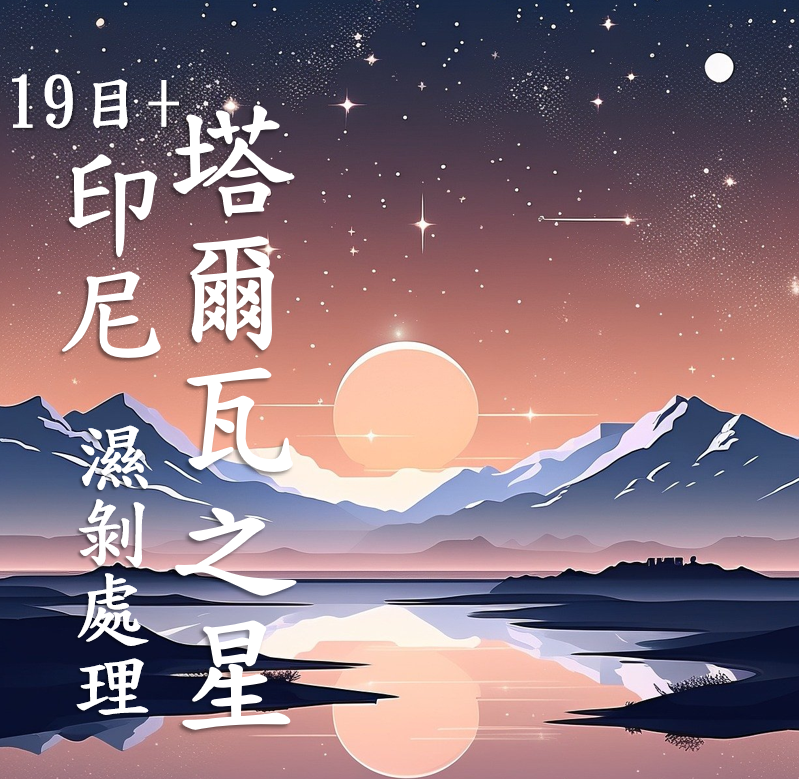 (2025 ) 獵豆工坊印尼 蘇門答臘 亞齊省 塔瓦爾之星 濕剝處理 19目+  咖啡生豆  