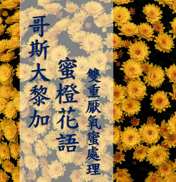 (2025) 獵豆工坊 哥斯大黎加 塔拉珠 蜜橙花語 雙重厭氧蜜處理 咖啡生豆 