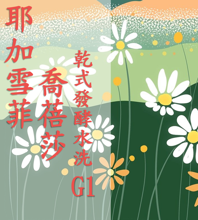 (2025) 獵豆工坊🐆 衣索比亞 耶加雪菲 潔蒂普 喬蓓莎村 乾式發酵水洗 G1  咖啡生豆