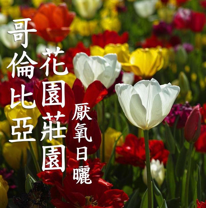 (2025) 獵豆工坊 哥倫比亞 托利馬 花園莊園 厭氧日曬  咖啡生豆 