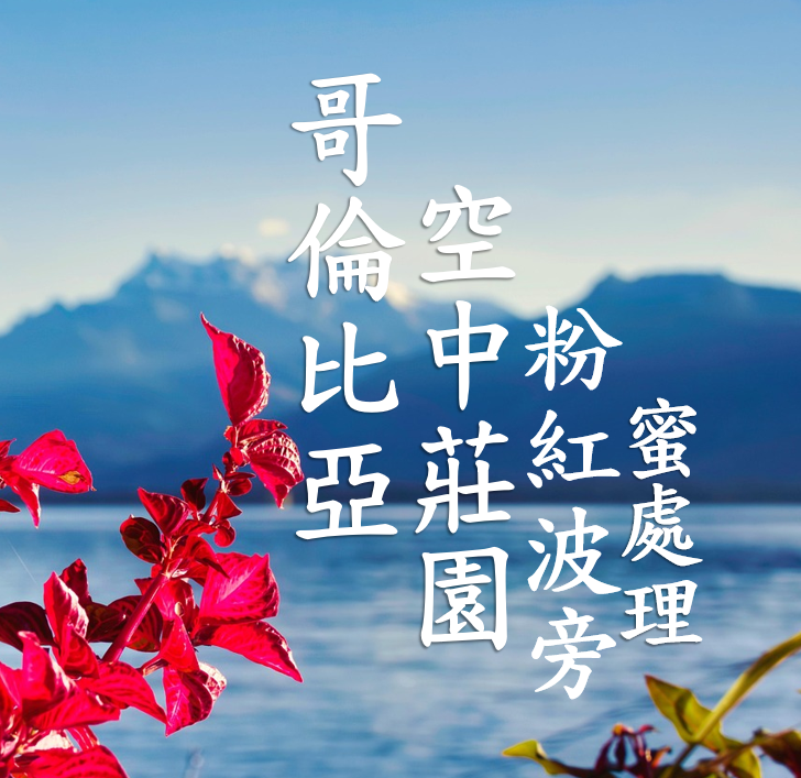 (2025) 獵豆工坊  哥倫比亞 托利馬 空中莊園 粉紅波旁 蜜處理   咖啡生豆 