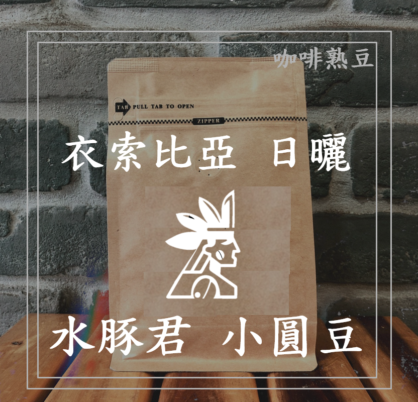 (咖啡熟豆) 獵豆工坊🐆 (淺烘焙)  衣索比亞 西達馬 水豚君 小圓豆 日曬G1 225g/450g