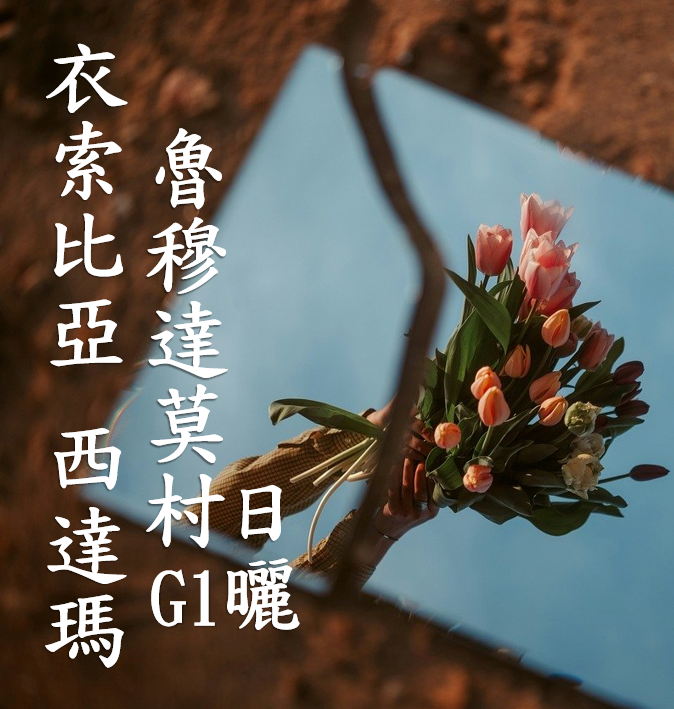 (2025)  獵豆工坊  衣索比亞 西達瑪 魯穆達莫村 Elias Kare 單一小農 日曬G1  咖啡生豆 