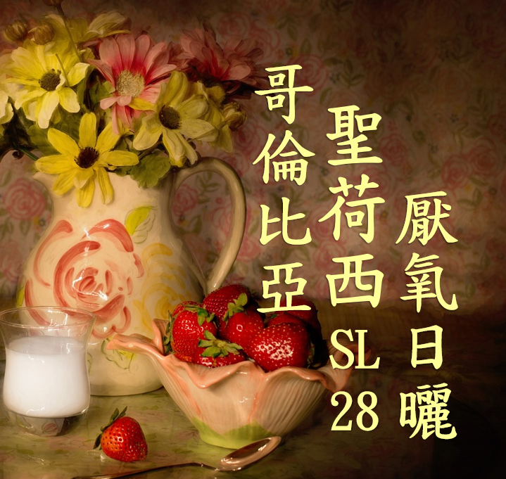 (2025) 獵豆工坊 哥倫比亞 卡爾達斯 聖荷西 SL28 厭氧日曬   咖啡生豆 