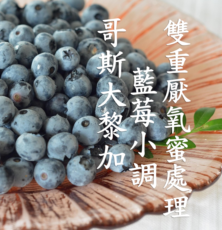(2025)  獵豆工坊 哥斯大黎加 塔拉珠 藍莓小調 雙重厭氧蜜處理  咖啡生豆 
