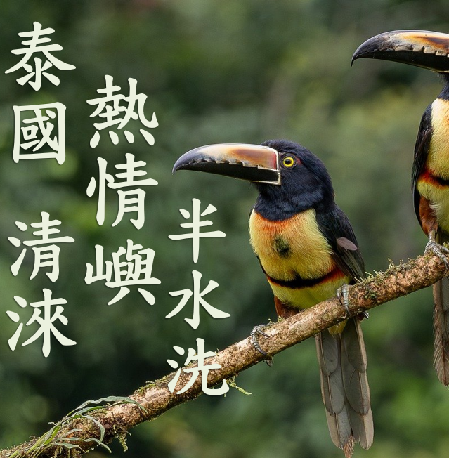 (2025)  獵豆工坊 泰國 清淶 熱情嶼 半水洗    咖啡生豆 