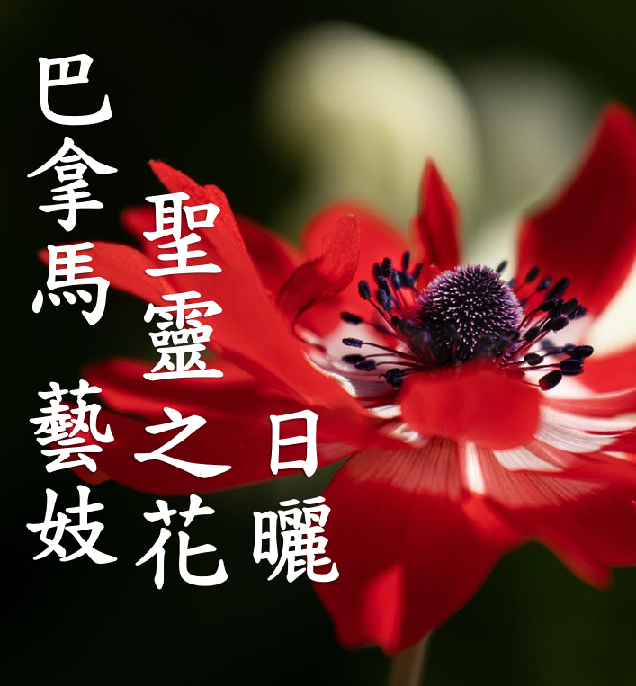 (2025)  獵豆工坊 巴拿馬  波奎特  聖靈之花 藝妓 日曬 咖啡生豆 