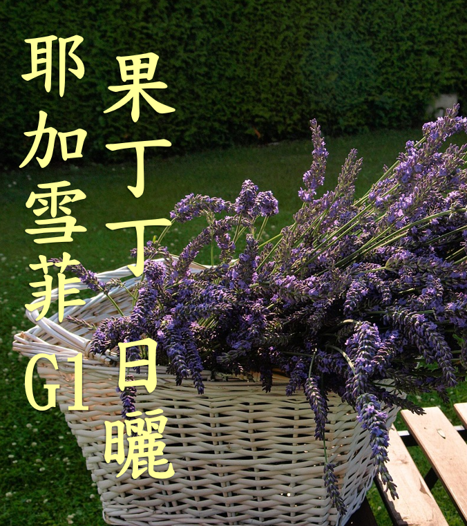 (2025)  獵豆工坊衣索比亞 耶加雪菲 果丁丁 日曬G1 74110、74112      咖啡生豆 