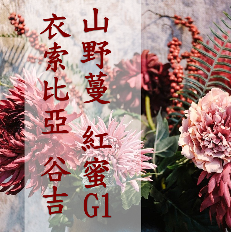 (2025)  獵豆工坊 衣索比亞 谷吉 山野蔓 紅蜜 g1    咖啡生豆 