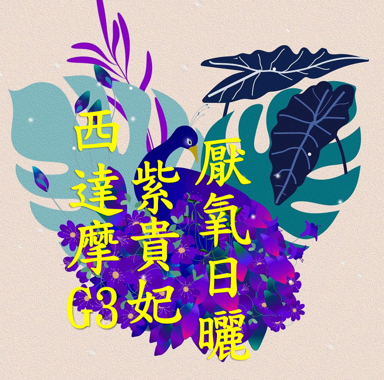 (2025)  獵豆工坊衣索比亞 西達摩 紫貴妃 G3 厭氧日曬 咖啡生豆    咖啡生豆 