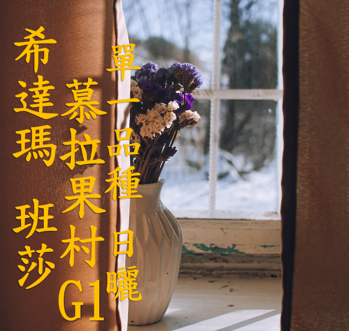 (2025)  獵豆工坊 衣索比亞 希達馬 班莎 慕拉果村 74158 單一品種 2380m 日曬G1  咖啡生豆 