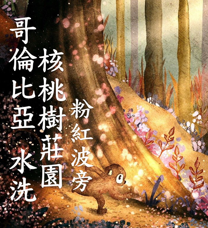 (2025)  獵豆工坊 哥倫比亞 核桃樹莊園 粉紅波旁 水洗   咖啡生豆 