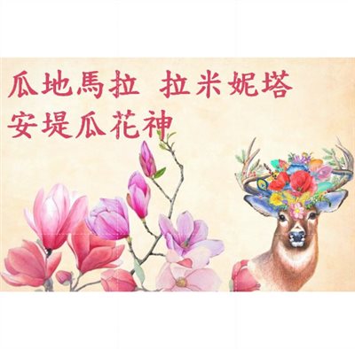 (2025) 獵豆工坊 中美洲 瓜地馬拉 拉米妮塔 安堤瓜 花神 水洗 咖啡生豆
