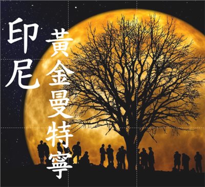 (2024豆貌超水!) 獵豆工坊🐆印尼 蘇門答臘 超級迦佑黃曼 黃金曼特寧 濕剝處理 20 目+ 咖啡生豆