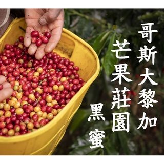 (2022) 獵豆工坊 哥斯大黎加 布蘭卡  里瓦斯人處理廠 芒果莊園 黑蜜 咖啡生豆