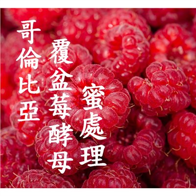 (2022) 獵豆工坊 哥倫比亞 覆盆莓 酵母蜜處理 咖啡生豆