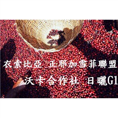  (再到貨!草莓沃卡!!)  獵豆工坊  衣索比亞 ㊣ 耶珈雪啡聯盟 日曬 沃卡 咖啡生豆　