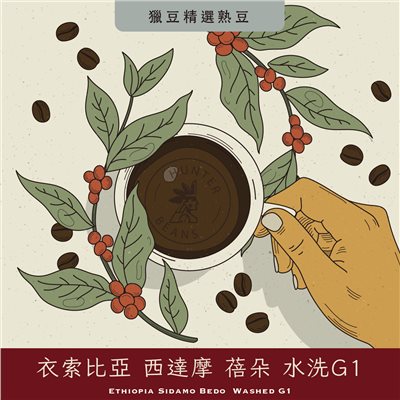 (咖啡熟豆) 獵豆工坊  衣索比亞 西達摩 蓓朵 水洗G1   225g/450g  咖啡豆 