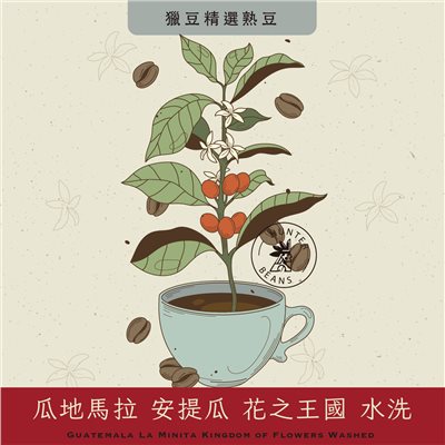 (咖啡熟豆) 獵豆工坊   瓜地馬拉 安提瓜 花之王國 水洗 225g/450g  咖啡豆 