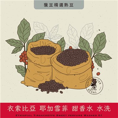 (咖啡熟豆) 獵豆工坊  衣索比亞  耶加雪菲 甜香水 水洗 G1 225g/450g 咖啡豆 
