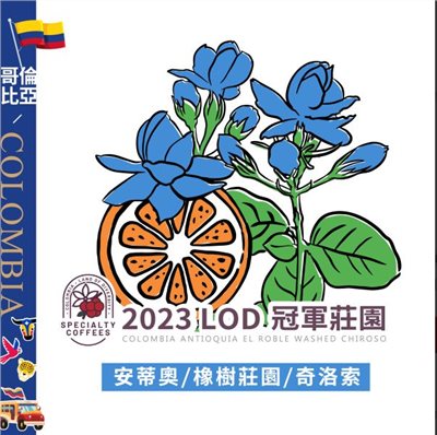(2023)獵豆工坊  LOD 冠軍莊園 哥倫比亞 安蒂奧  橡樹莊園 奇洛索  水洗長發酵  咖啡生豆 