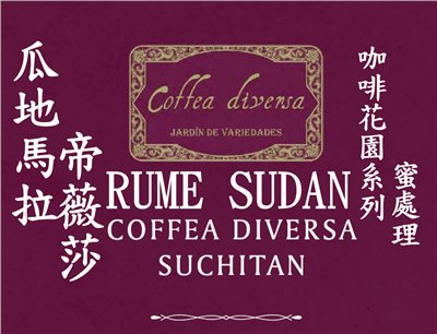 (2023) 獵豆工坊 瓜地馬拉 帝薇莎 咖啡花園系列 Rume Sudan 蜜處理  咖啡生豆  