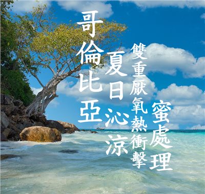 (2024) 獵豆工坊🐆哥倫比亞 夏日沁涼 雙重厭氧熱衝擊 蜜處理     咖啡生豆