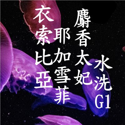 (2025) 獵豆工坊 衣索比亞 耶加雪菲鎮 麝香太妃 水洗G1 咖啡生豆
