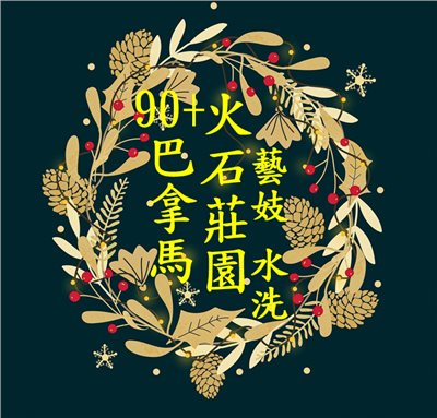  (2024) 獵豆工坊🐆巴拿馬90+ 火石莊園 藝妓 水洗 咖啡生豆