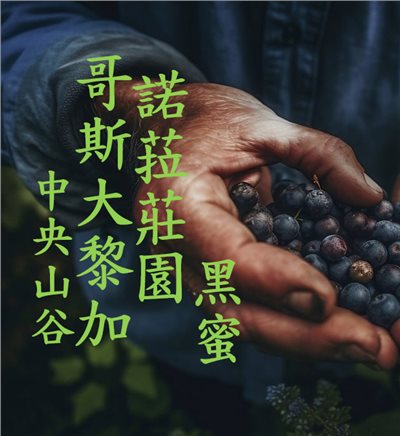 (2024) 獵豆工坊哥斯大黎加 中央山谷 諾菈莊園 黑蜜處理    咖啡生豆