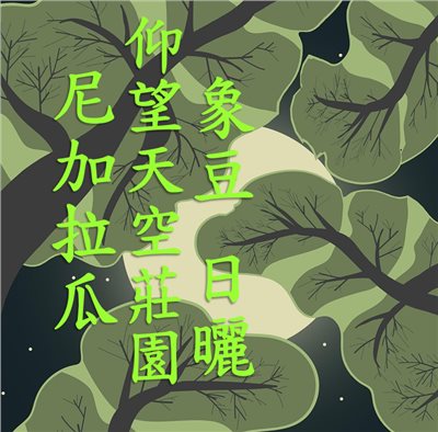 (2024) 獵豆工坊 尼加拉瓜 仰望天空莊園 象豆 日曬處理 咖啡生豆 